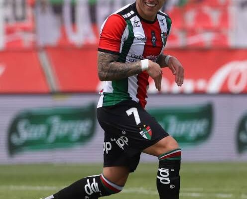 El club Deportivo Palestino, radicado en la ciudad de Santiago,chile,es una entidad social,cultural y polideportiva.